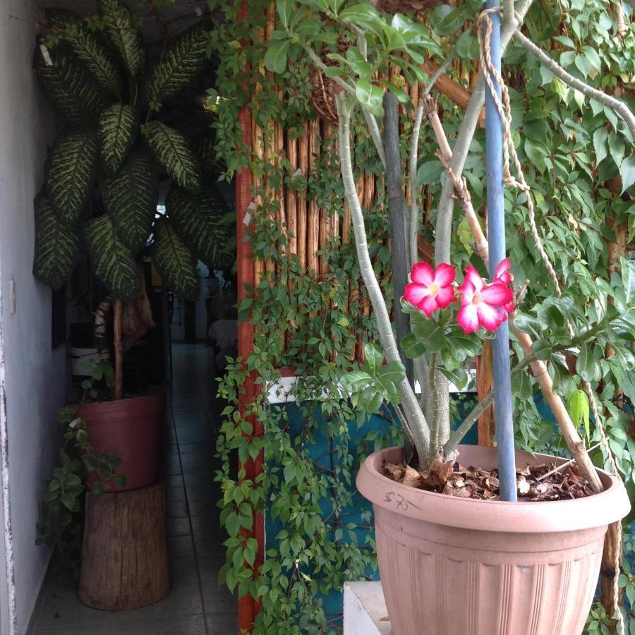 Alojamiento Ya'Ax Nah Playa del Carmen Exterior photo